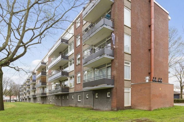 iQ Makelaars TILBURG, Predikherenlaan